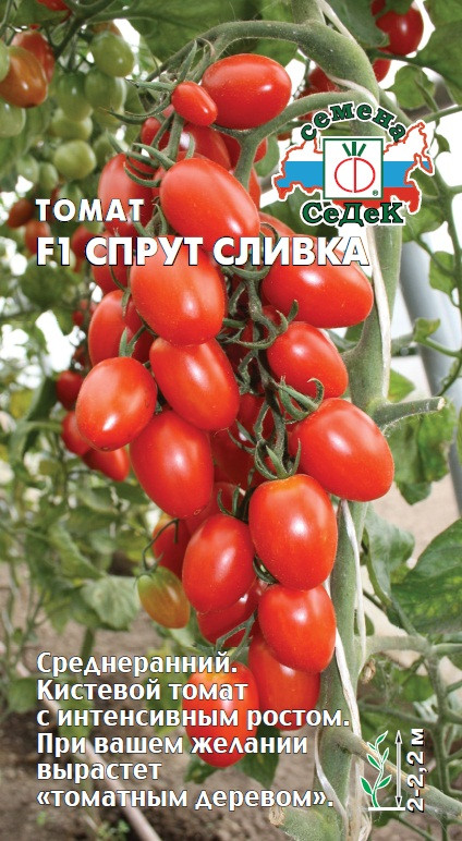 Томат Спрут сливка F1 Седек кист, дерево-томат, ср/ран, 40 гр, 2м