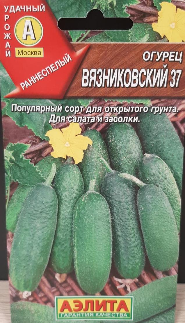 Огурец Вязниковский-37 0,5гр сер.Удачный урожай /скороспелый сорт