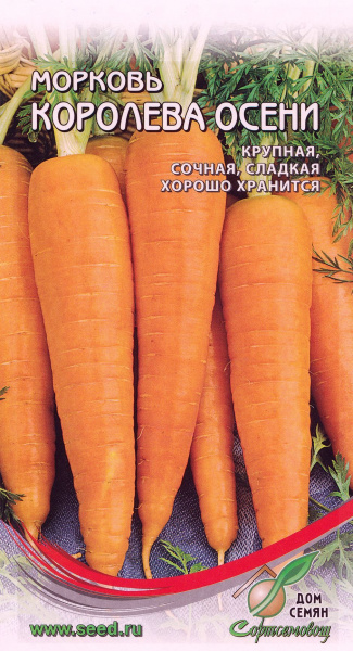 Морковь Королева Осени