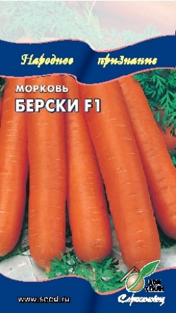 Морковь Берски
