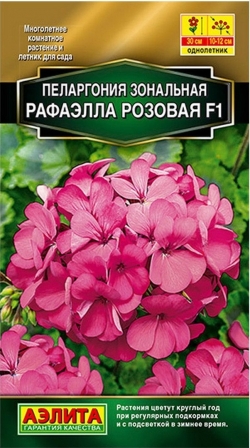 Пеларгония Рафаэлла розовая
