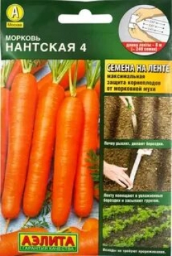 Морковь Нантская 4 на ленте