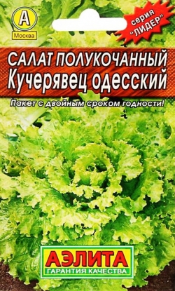 Салат Кучерявец Одесский 0,5г.полукач.ЦВ.А