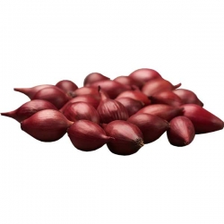 Лук-севок Красный Кармен 0,5 кг Средний Россия  