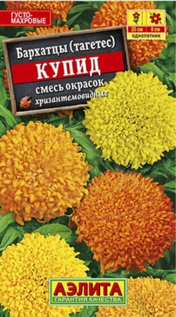 Бархатцы Купид хризантем.смесь 0,3 г.А