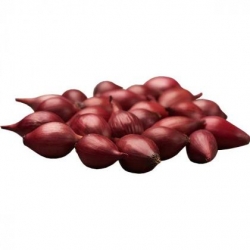Лук-севок Красный Кармен средний 0,5 кг Голландия 