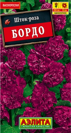 Шток-роза Бордо Аэлита