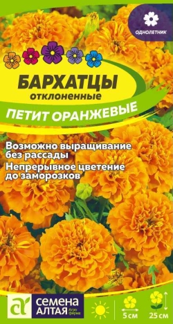 Бархатцы Петит Оранжевые махровые 0,3гр Н25см /однолетник Семена Алтая